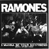 I Wanna Be Your Boyfriend
