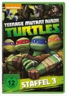 Teenage Mutant Ninja Turtles - Season 3 [4 DVDs]