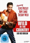 Lied des Rebellen - Wild in the country