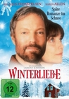 Winterliebe - Spte Romanze im Schnee