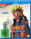 Naruto Shippuden - Staffel 24 [2 BRs]