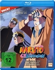 Naruto Shippuden - Staffel 25 (Folgen 700-713)