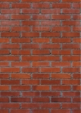 BACKSTEINE - BRICKSTONES