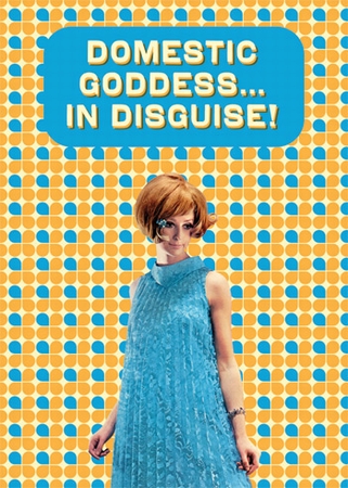 DOMESTIC GODDES - GESCHIRRTUCH auf einer Langgns Wunschliste / Geschenkidee