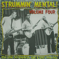 VARIOUS ARTISTS - Strummin Mental Vol. 4