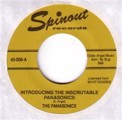 PANASONICS - Introducing The Inscrutable