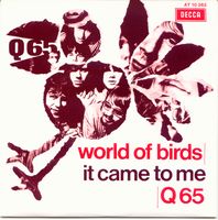 Q65 - World Of Birds