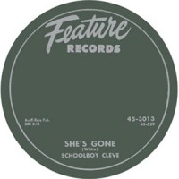 SCHOOLBOY CLEVE - She's Gone