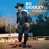 BO DIDDLEY