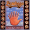 Seven Pleasures