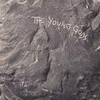 YOUNG GODS