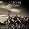 MESH