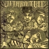 JETHRO TULL