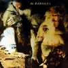 BABOONS
