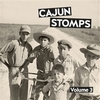 Cajun Stomps Vol. 3