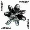 Vinegar