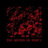 SISTERS OF MERCY