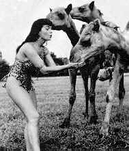 Bettie Page - am Kamel Füttern