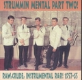 VARIOUS ARTISTS - STRUMMIN MENTAL Part 2