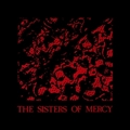 SISTERS OF MERCY - No Time To Cry