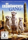 Die Erdmännchen Gang