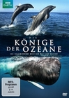 Die Könige der Ozeane