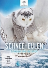 Schnee-Eulen - Schwingen ber der Arktis