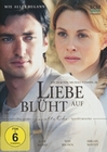 Liebe blüht auf