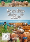 Von den Mühen mit den Kühen