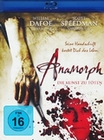 Anamorph - Die Kunst zu töten
