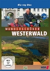 Wunderschön! - Westerwald