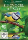 Singvögel unserer Heimat