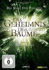 Das Geheimnis der Bäume