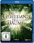 Das Geheimnis der Bäume