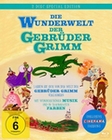 Die Wunderwelt der Gebrüder Grimm
