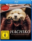 Hachiko - Eine Freundschaft für die Ewigkeit!