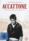 Accattone - Wer nie sein Brot mit Tränen ass
