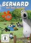 Bernard - Don`t Worry, Bär Happy!